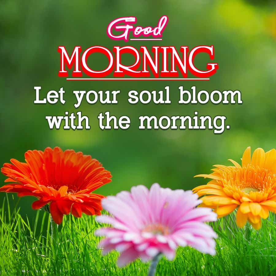 Good
MORNING
Let your soul bloom
with the morning.