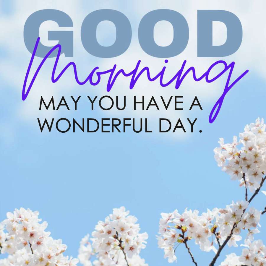 GOOD
Morning
MAY YOU HAVE A
WONDERFUL DAY.