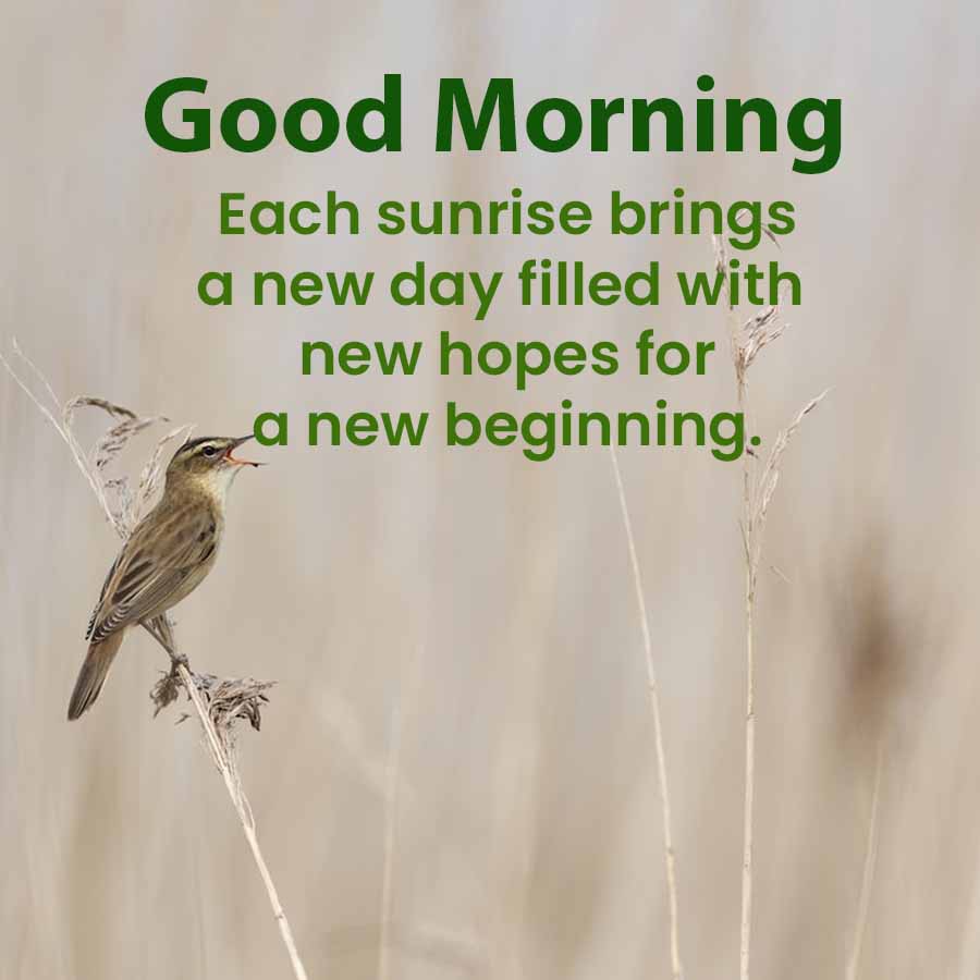 Good Morning
Each sunrise brings
a new day filled with
new hopes for
a new beginning.