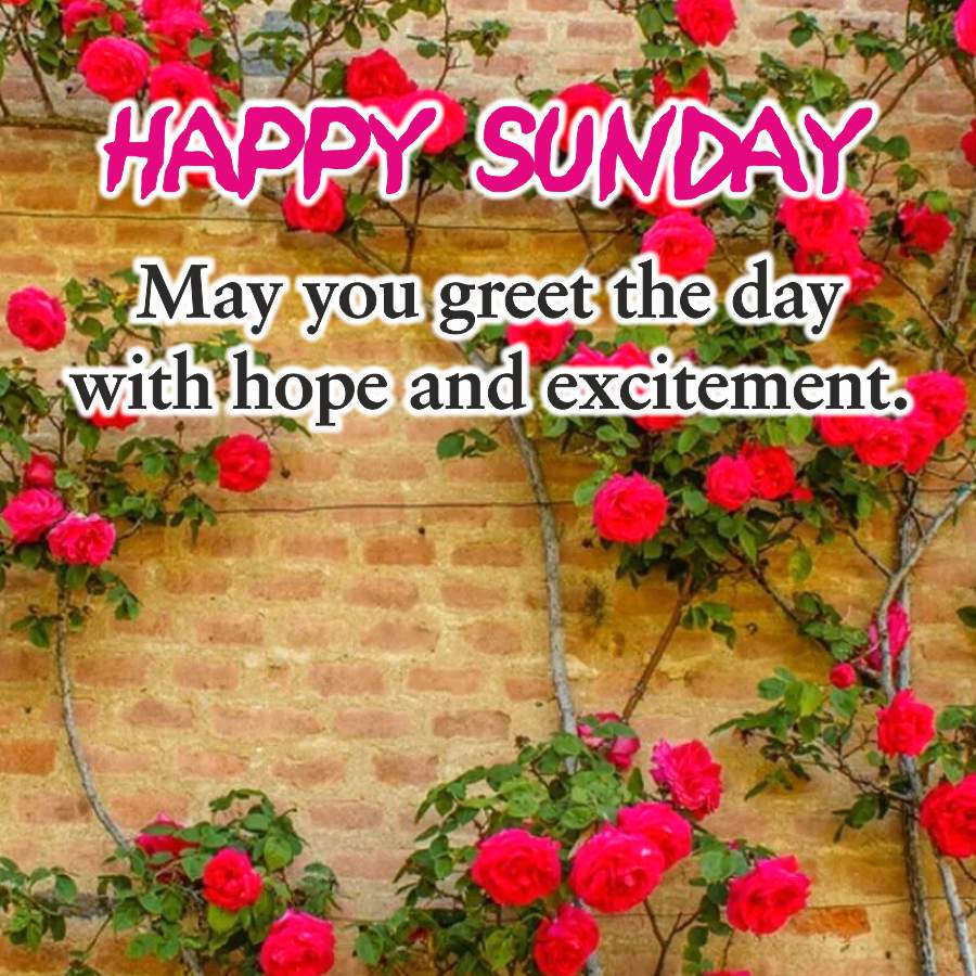 HAPPY SUNDAY
May you greet the day
with hope and excitement.