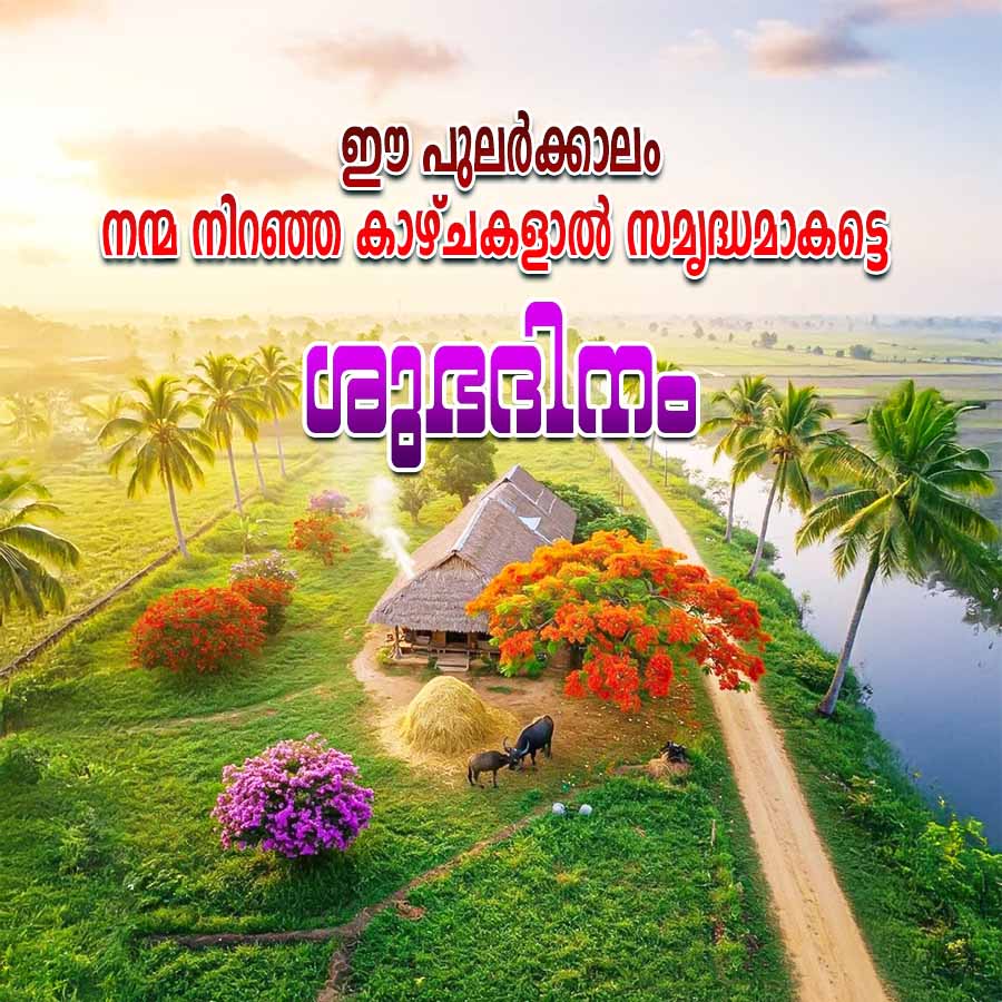 ഈ പുലർക്കാലം
നന്മ നിറഞ്ഞ കാഴ്ചകളാൽ സമൃദ്ധമാകട്ടെ
ശുഭദിനം