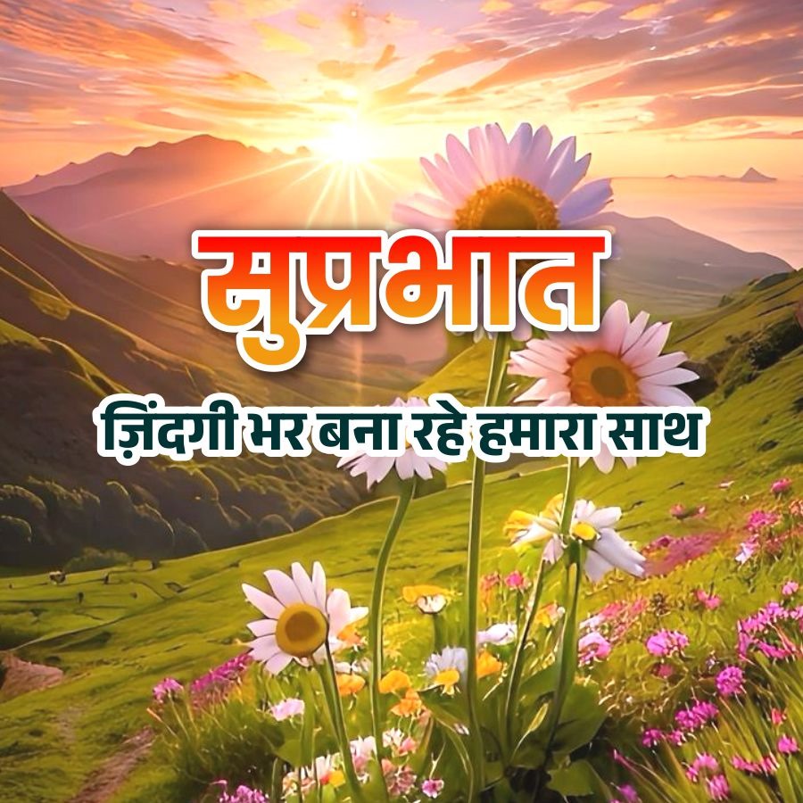 सुप्रभात,
जिंदगी भर बना रहे हमारा साथ