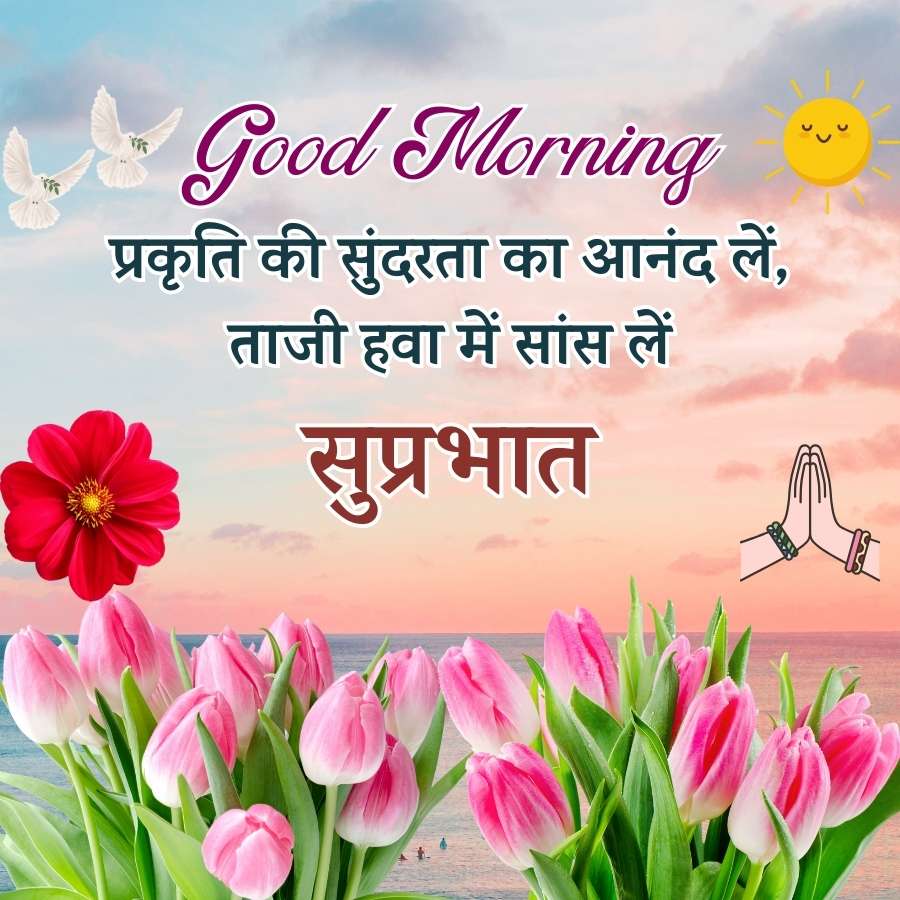 Good Morning
प्रकृति की सुंदरता का आनंद लें,
ताजी हवा में सांस लें
सुप्रभात
c