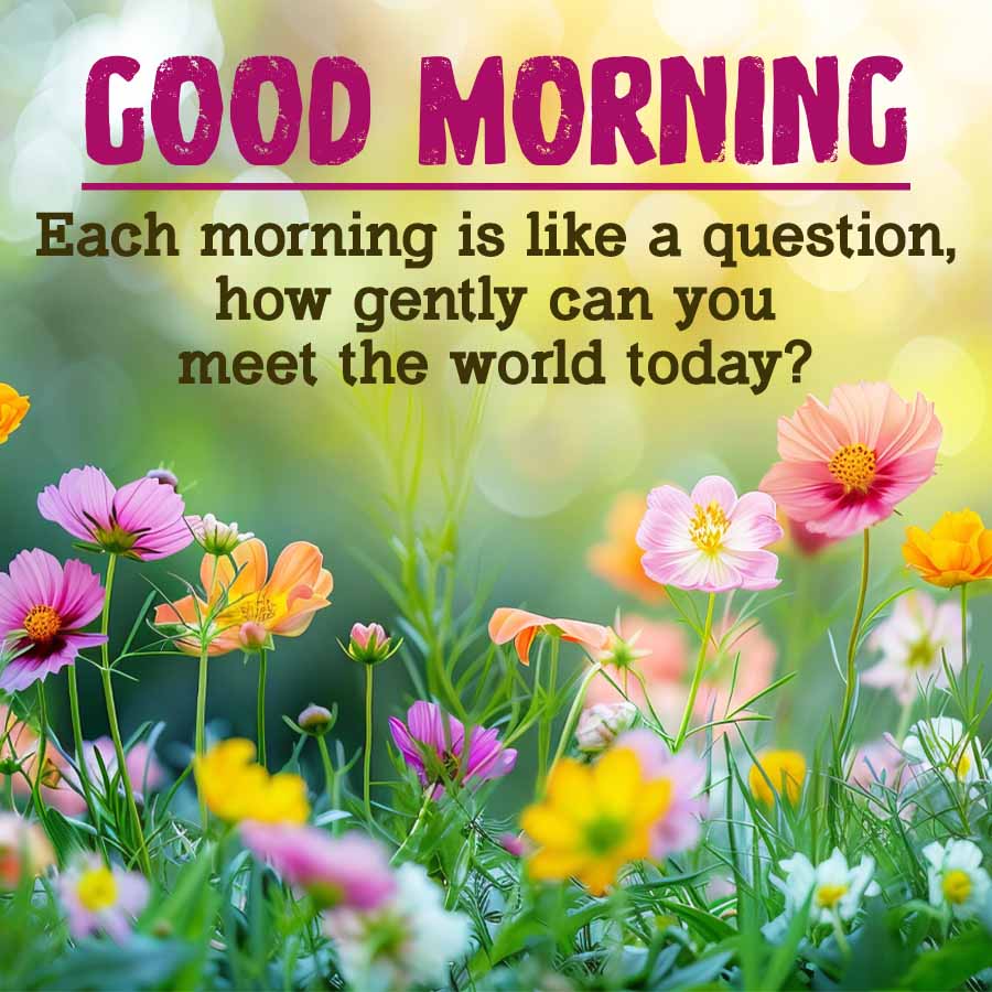 GOOD MORNING
Each morning is like a question,
how gently can you
meet the world today?
211