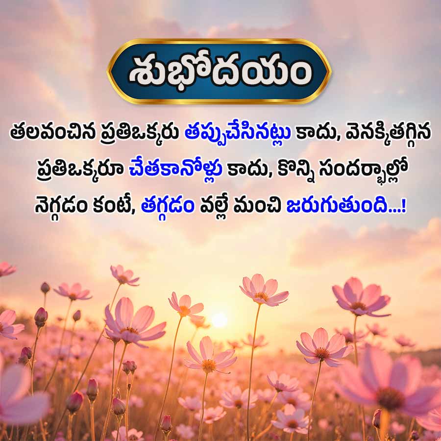 శుభోదయం
తలవంచిన ప్రతిఒక్కరు తప్పుచేసినట్లు కాదు, వెనక్కితగ్గిన
ప్రతిఒక్కరూ చేతకానోళ్లు కాదు, కొన్ని సందర్భాల్లో
నెగ్గడం కంటే, తగ్గడం వల్లే మంచి జరుగుతుంది...!