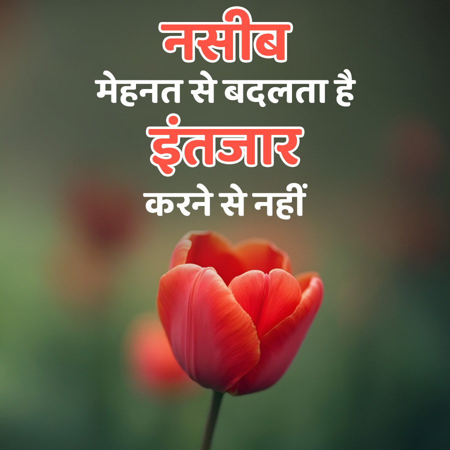 नसीब
मेहनत से बदलता है
इंतजार
करने से नहीं