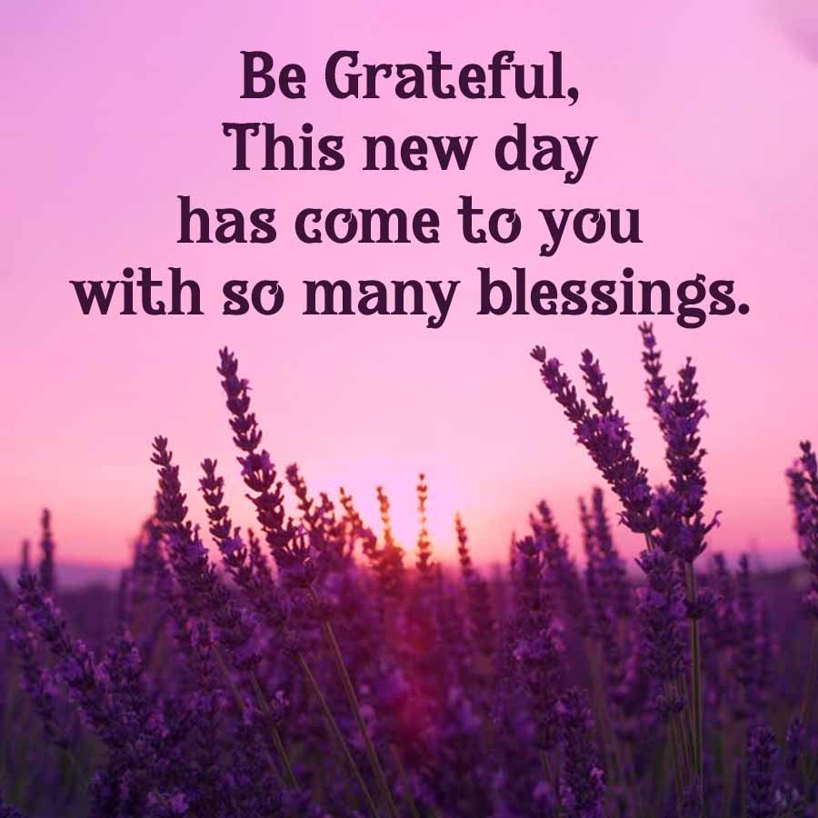 Be Grateful,
This new day
has come to you
with so many blessings.
An