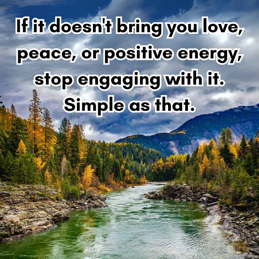 If it doesn't bring you love,
peace, or positive energy,
stop engaging with it.
Simple as that.