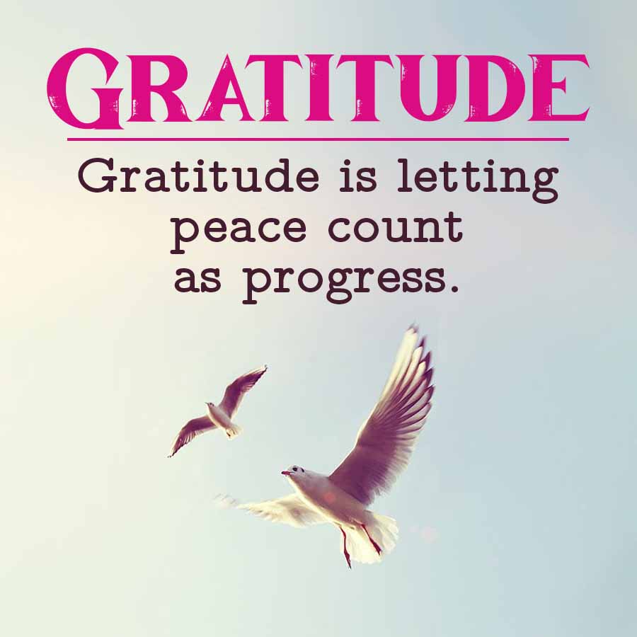 GRATITUDE
Gratitude is letting
peace count
as progress.
