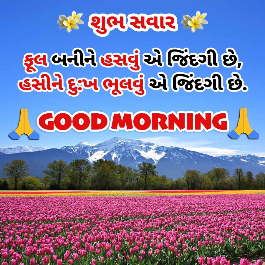 ”
શુભસવાર જે
ફૂલબનીને હસવું એજિંદગી છે,
હસીનેદુ:ખ ભૂલવું એજિંદગી છે.
GOOD MORNING