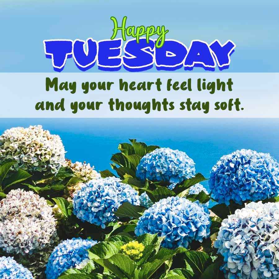 Happy
TUESDAY
May your heart feel light
and your thoughts stay soft.