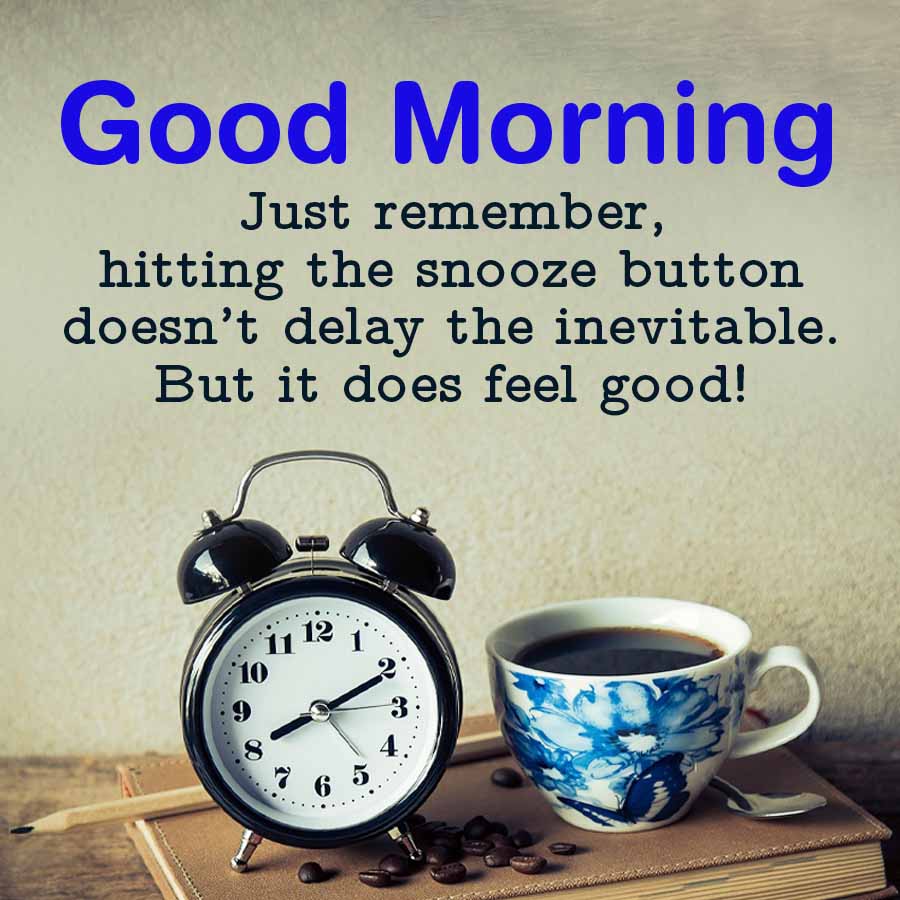 Good Morning
Just remember,
hitting the snooze button
doesn't delay the inevitable.
But it does feel good!
12
11
10
3
4
6 5