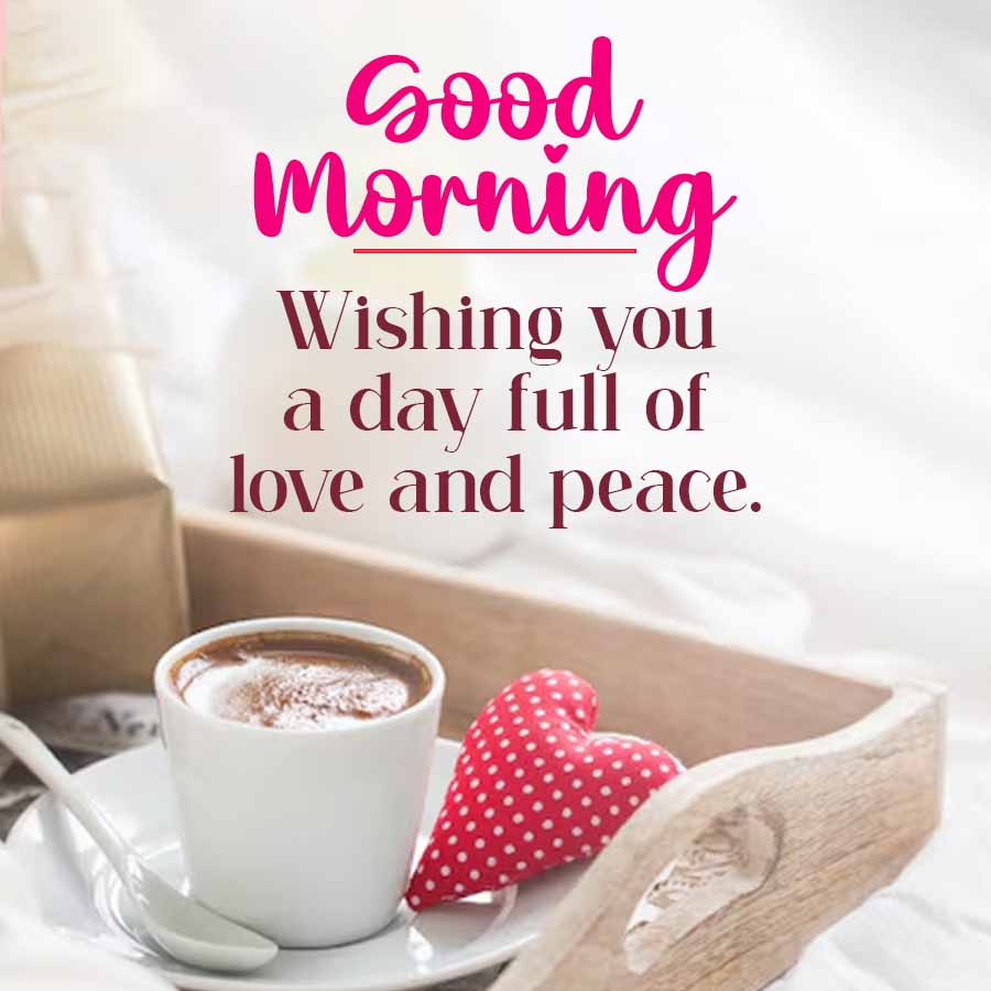 Good
Morning
Wishing you
a day full of
love and peace.