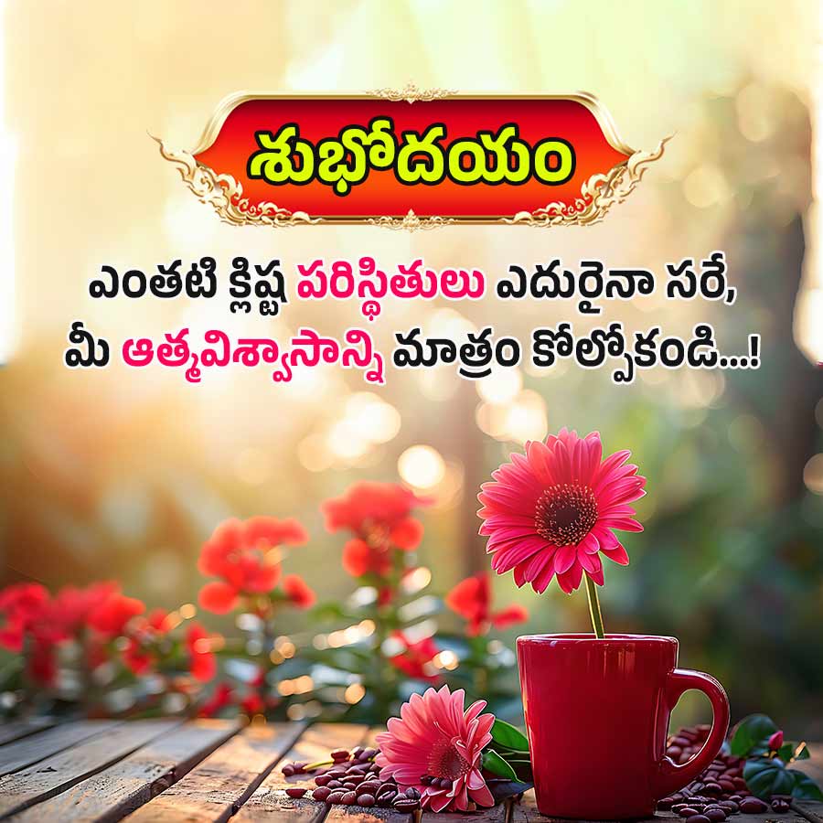 శుభోదయం
ఎంతటి క్లిష్ట పరిస్థితులు ఎదురైనా సరే,
మీ ఆత్మవిశ్వాసాన్ని మాత్రం కోల్పోకండి...!