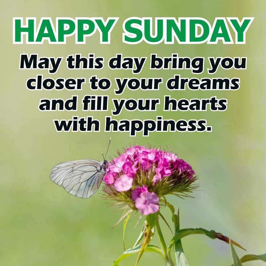 HAPPY SUNDAY
May this day bring you
closer to your dreams
and fill your hearts
with happiness.