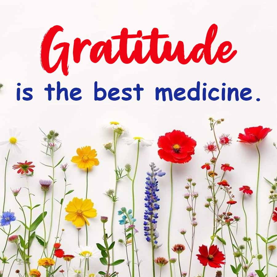 Gratitude
I is the best medicine.