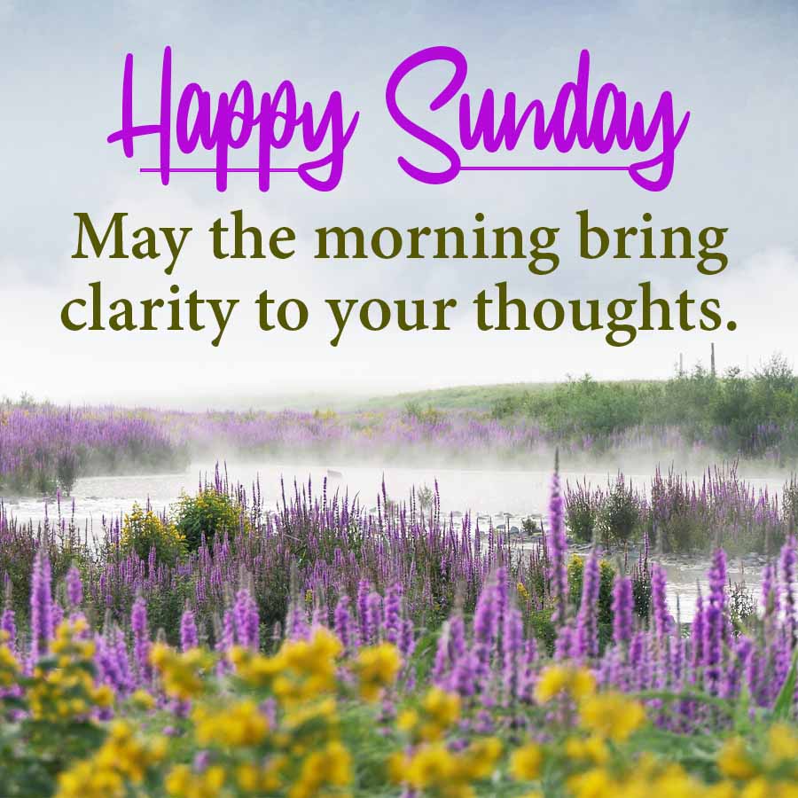 Happy Sunday
May the morning bring
clarity to your thoughts.