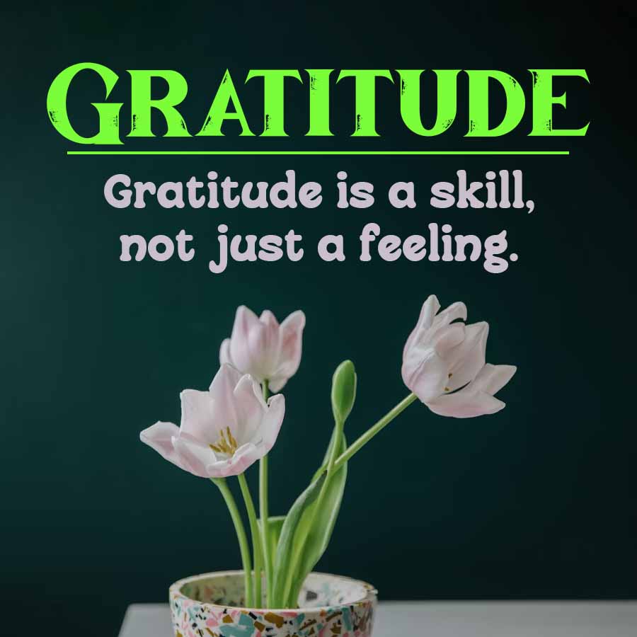 GRATITUDE
Gratitude is a skill,
not just a feeling.