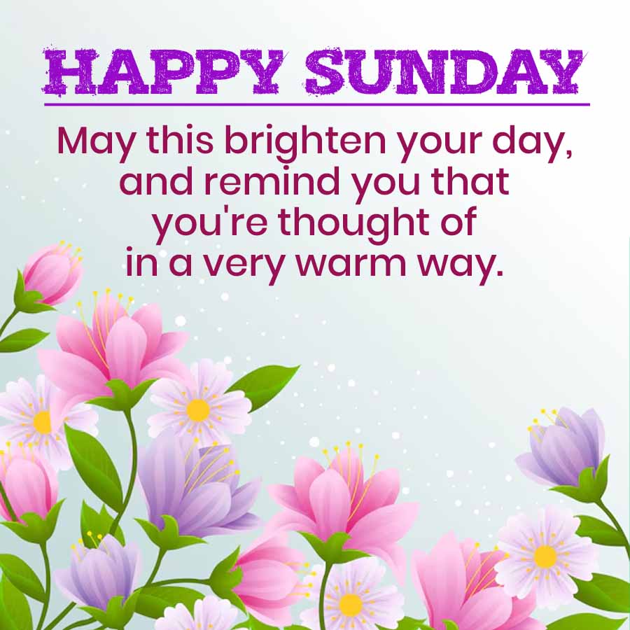 Good Morning Quotes