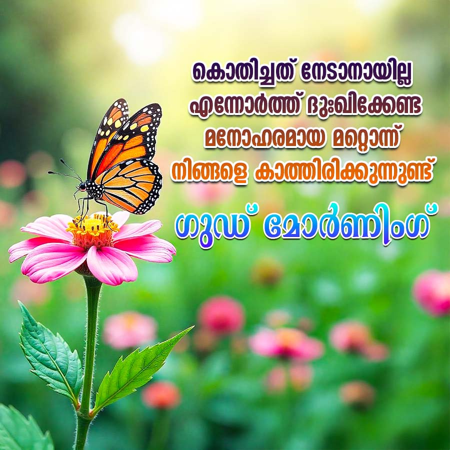 കൊതിച്ചത് നേടാനായില്ല
എന്നോർത്ത് ദുഃഖിക്കേണ്ട
മനോഹരമായ മറ്റൊന്ന്
നിങ്ങളെ കാത്തിരിക്കുന്നുണ്ട്
ഗുഡ് മോർണിം