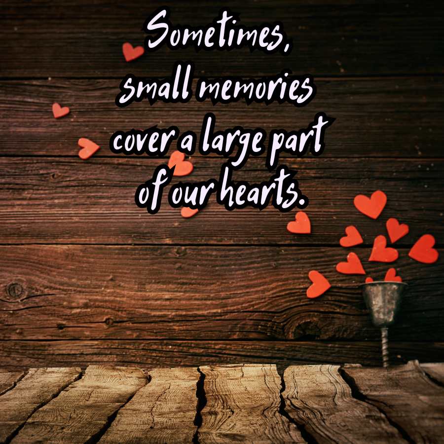 Sometimes,
Small memories
Cover a large part
of our hearts.