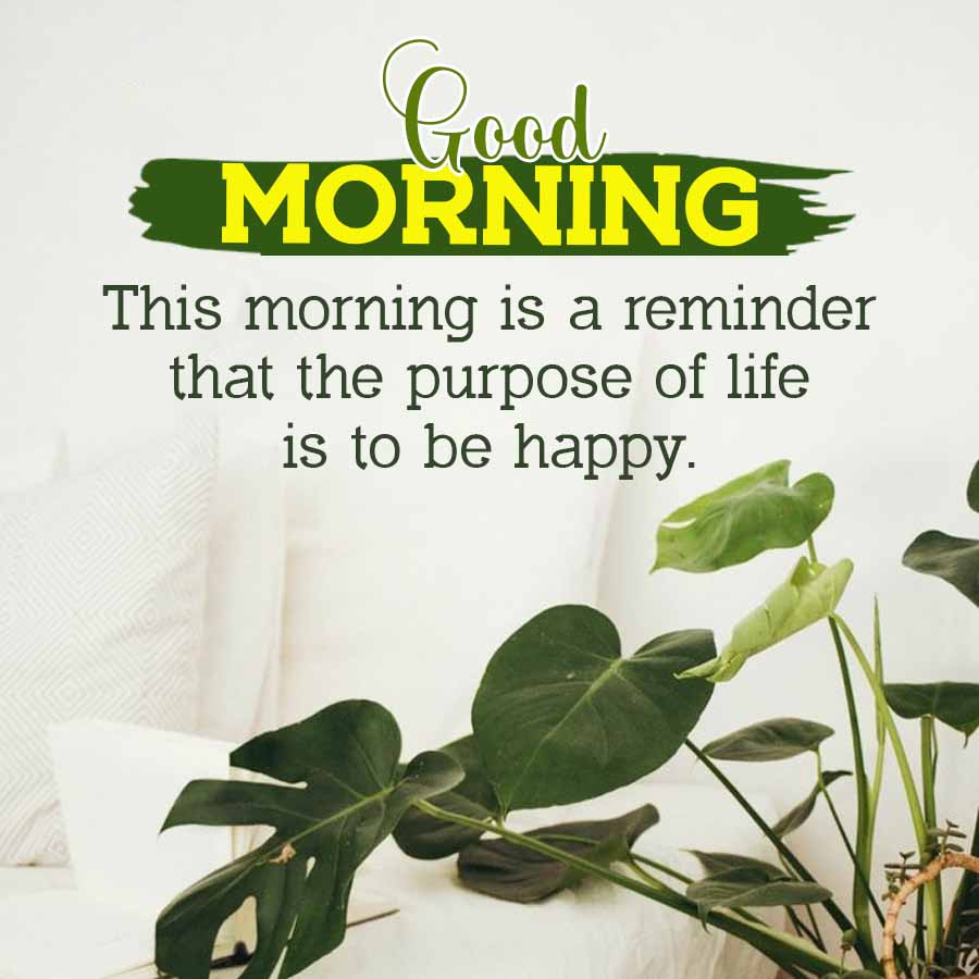 Good
MORNING
This morning is a reminder
that the purpose of life
is to be happy.