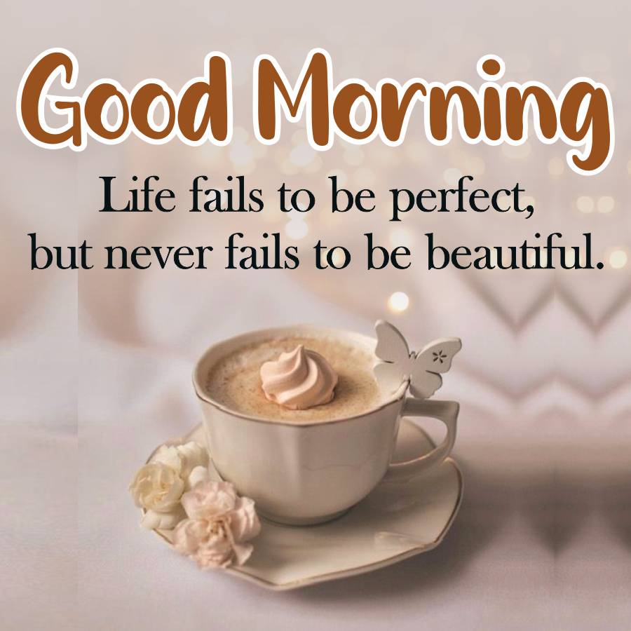 Good Morning
Life fails to be perfect,
but never fails to be beautiful.