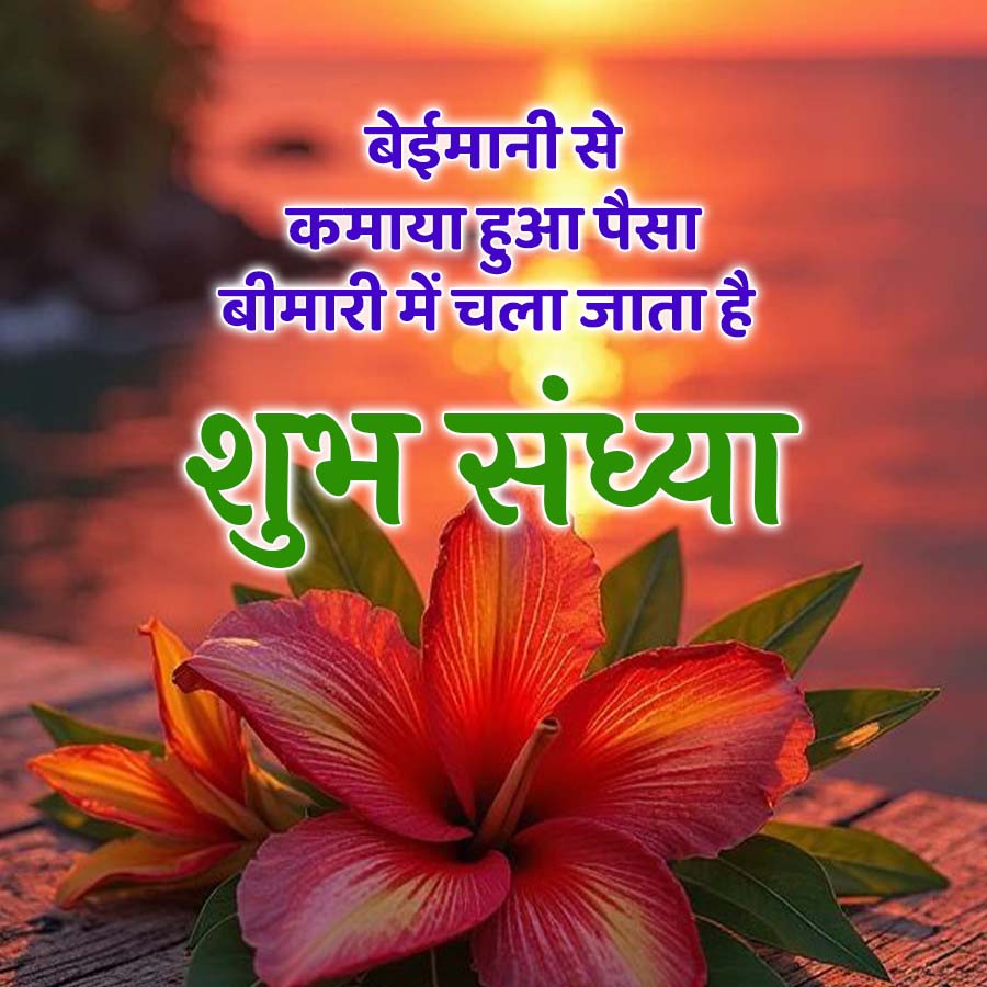 बेईमानी से
कमाया हुआ पैसा
बीमारी में चला जाता है
शुभ संध्या