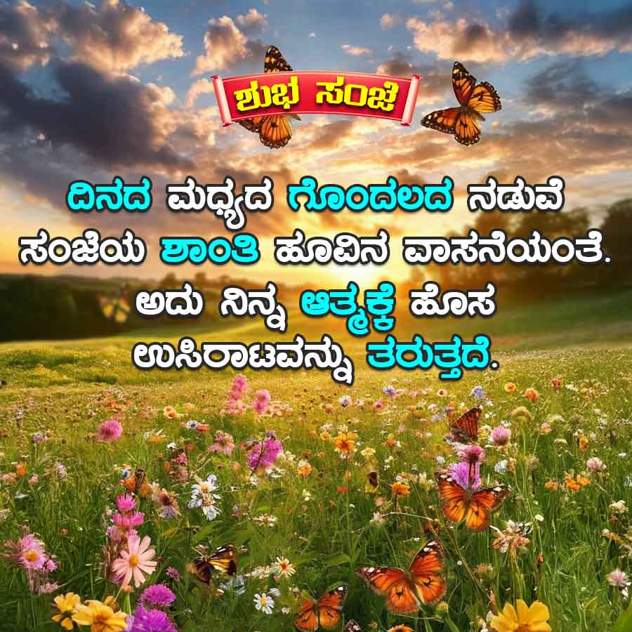 Good Morning Quotes