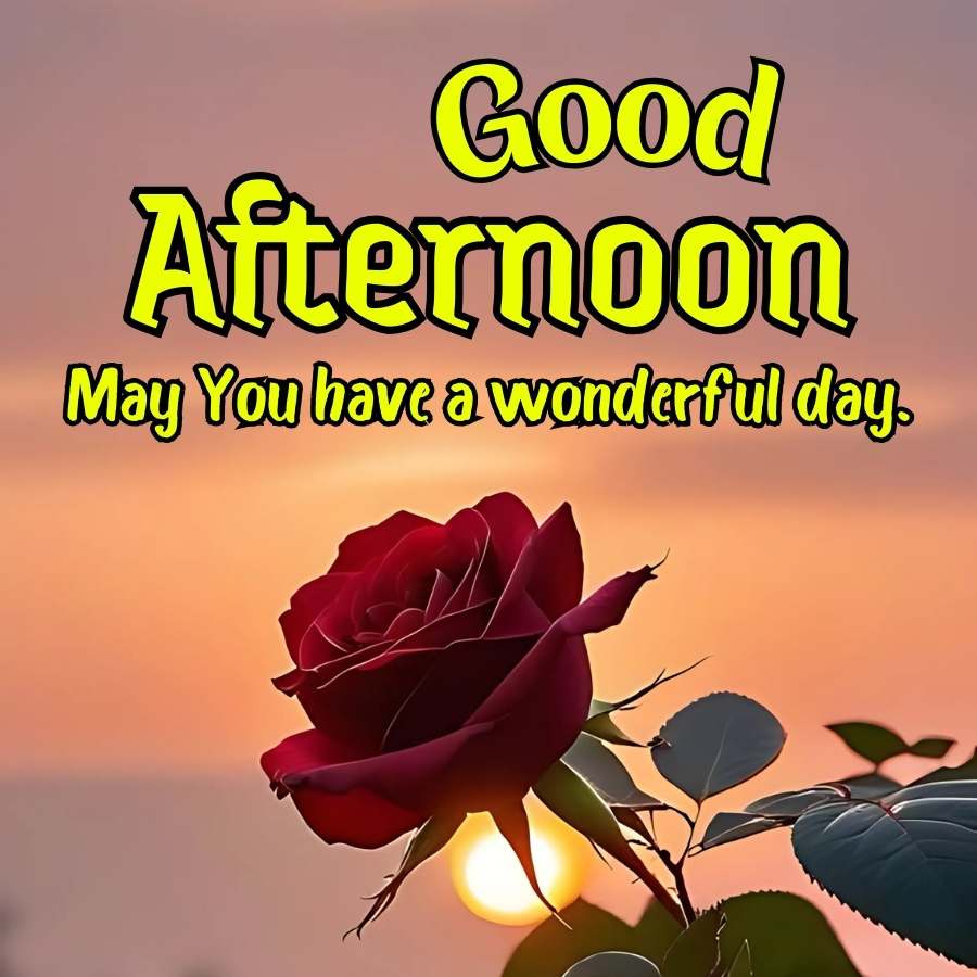 Good
Afternoon
May You have a wonderful day.
