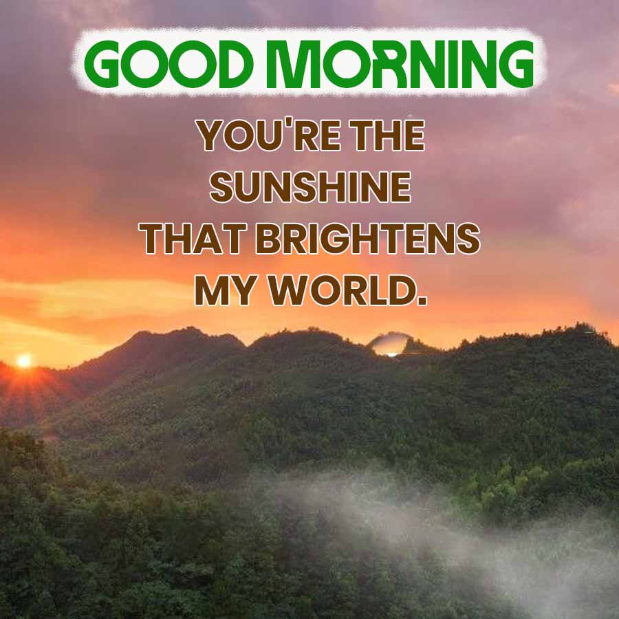 GOOD MORNING
YOU'RE THE
SUNSHINE
THAT BRIGHTENS
MY WORLD.