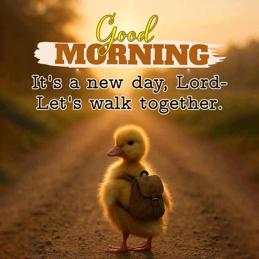 Good Morning Quotes