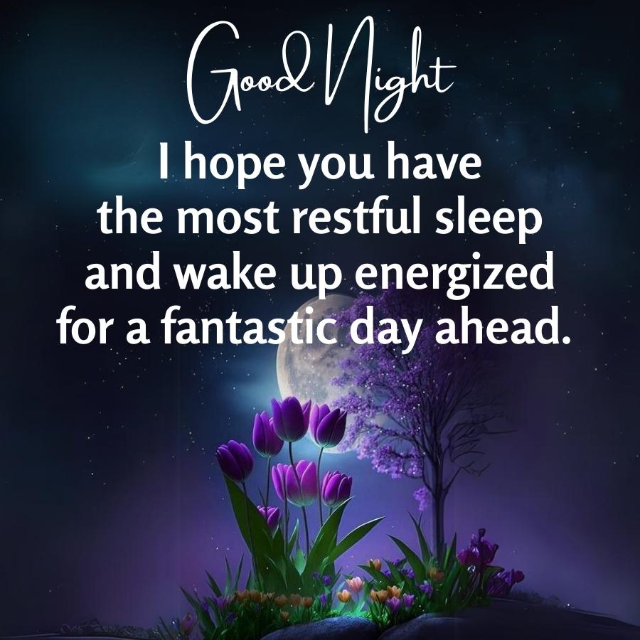 Good Night
I hope you have
the most restful sleep
and wake up energized
for a fantastic day ahead.