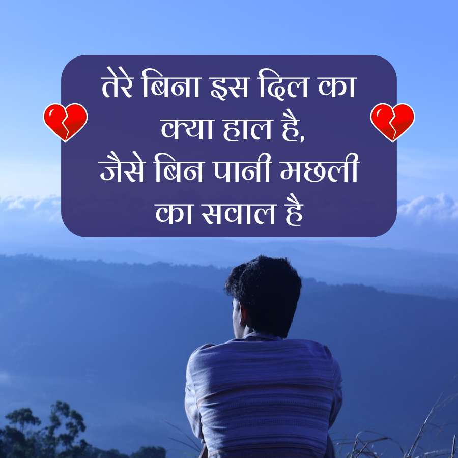 तेरे बिना इस दिल का
क्या हाल है,
जैसे बिन पानी मछली
का सवाल है