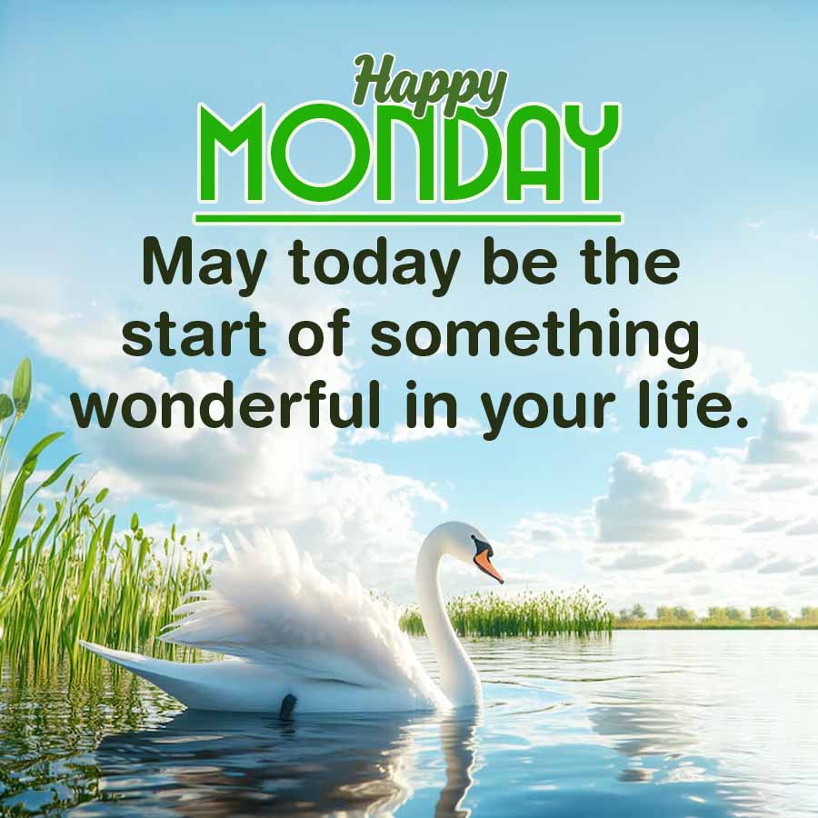 Happy
MONDAY
May today be the
start of something
wonderful in your life.