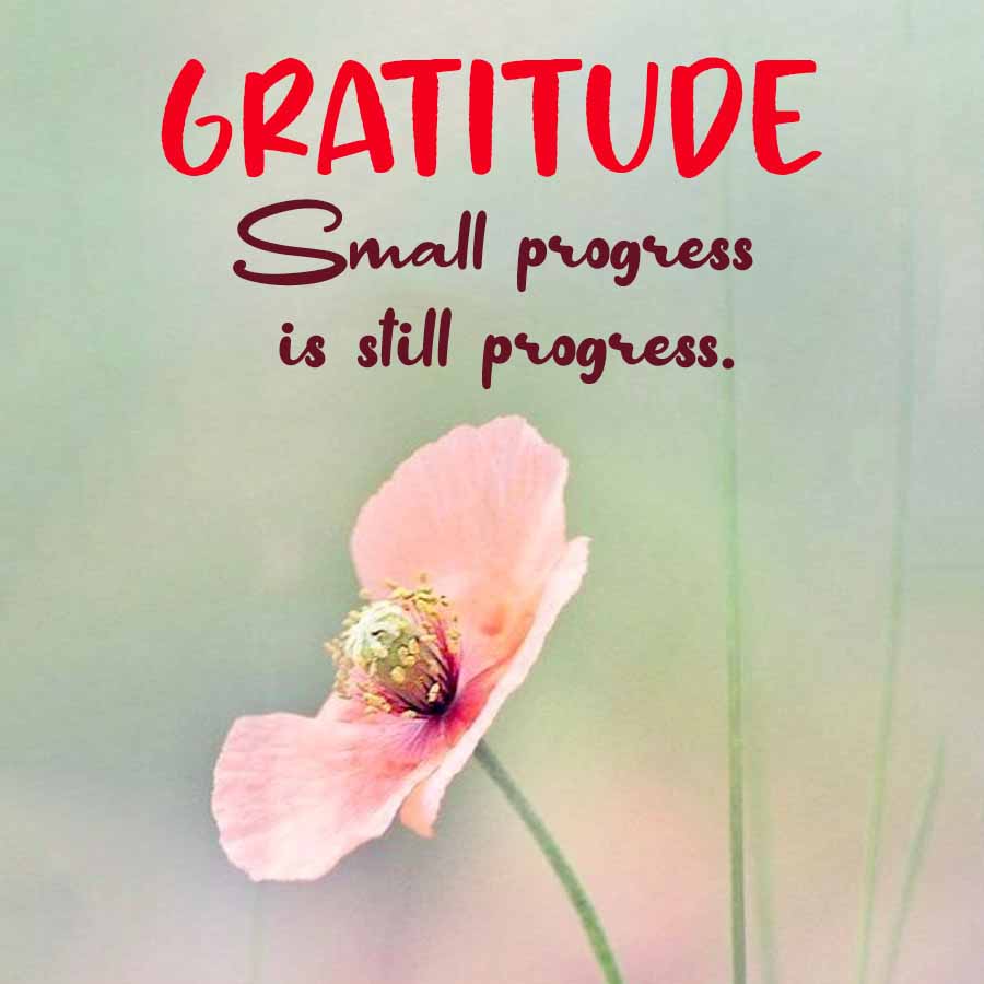 GRATITUDE
Small progress
is still progress.