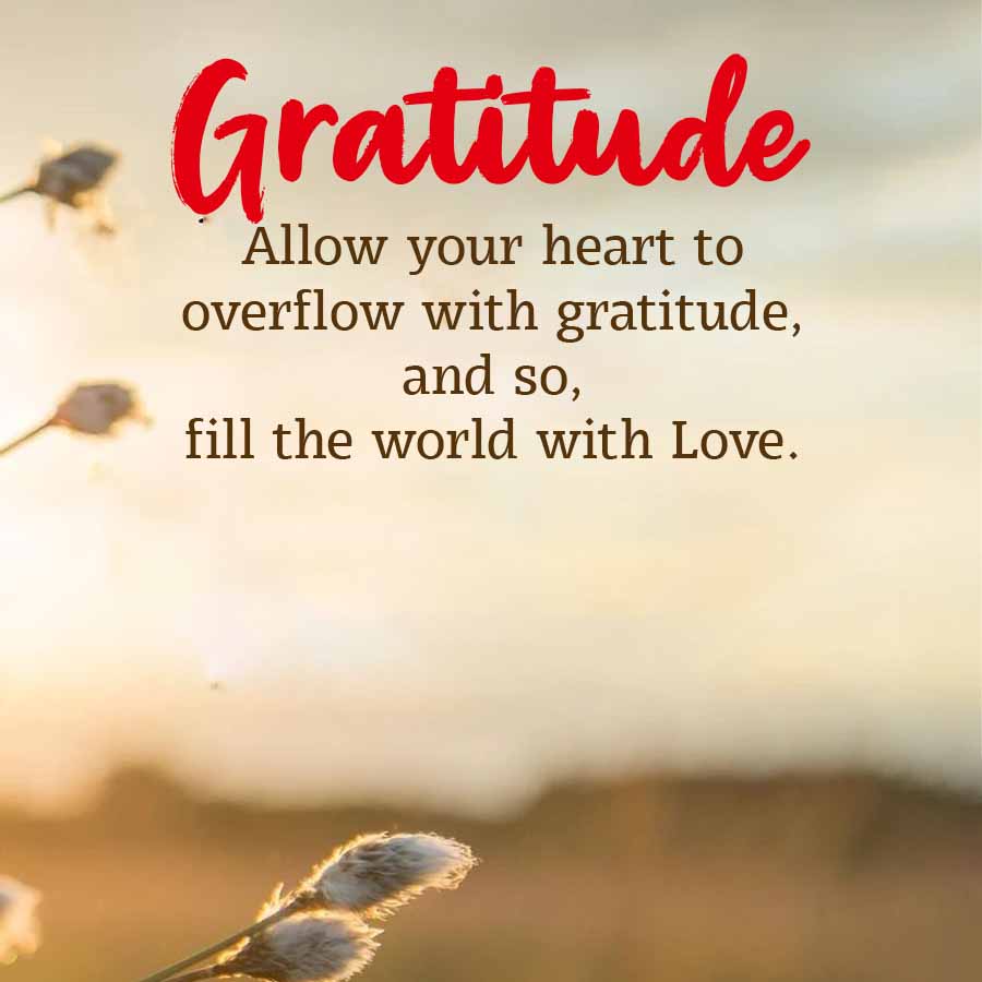 Gratitude
Allow your heart to
overflow with gratitude,
and so,
fill the world with Love.