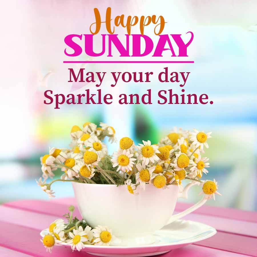 Good Morning Quotes