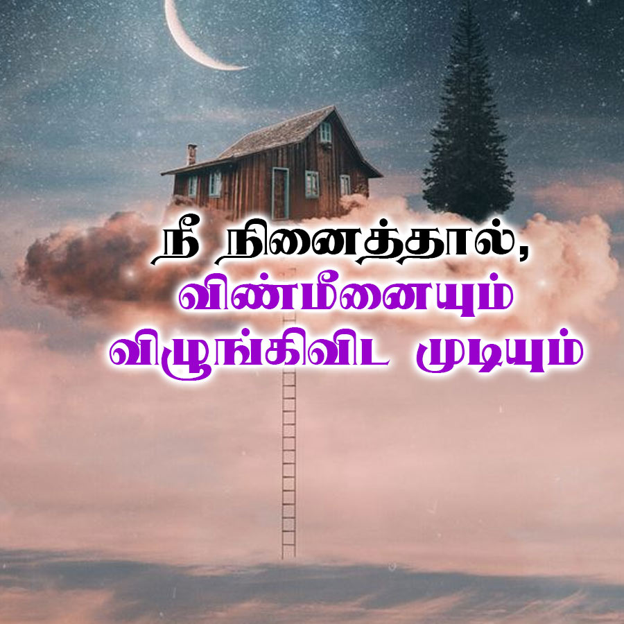 நீ நினைத்தால்,
விண்மீனையும்
விழுங்கிவிட முடியும்