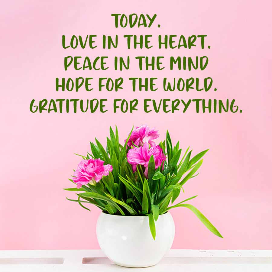 TODAY.
LOVE IN THE HEART.
PEACE IN THE MIND
HOPE FOR THE WORLD.
GRATITUDE FOR EVERYTHING.