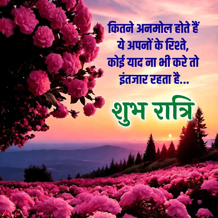 कितने अनमोल होते हैं
ये अपनों के रिश्ते,
कोई याद ना भी करे तो
इंतजार रहता है ...
शुभ रात्रि