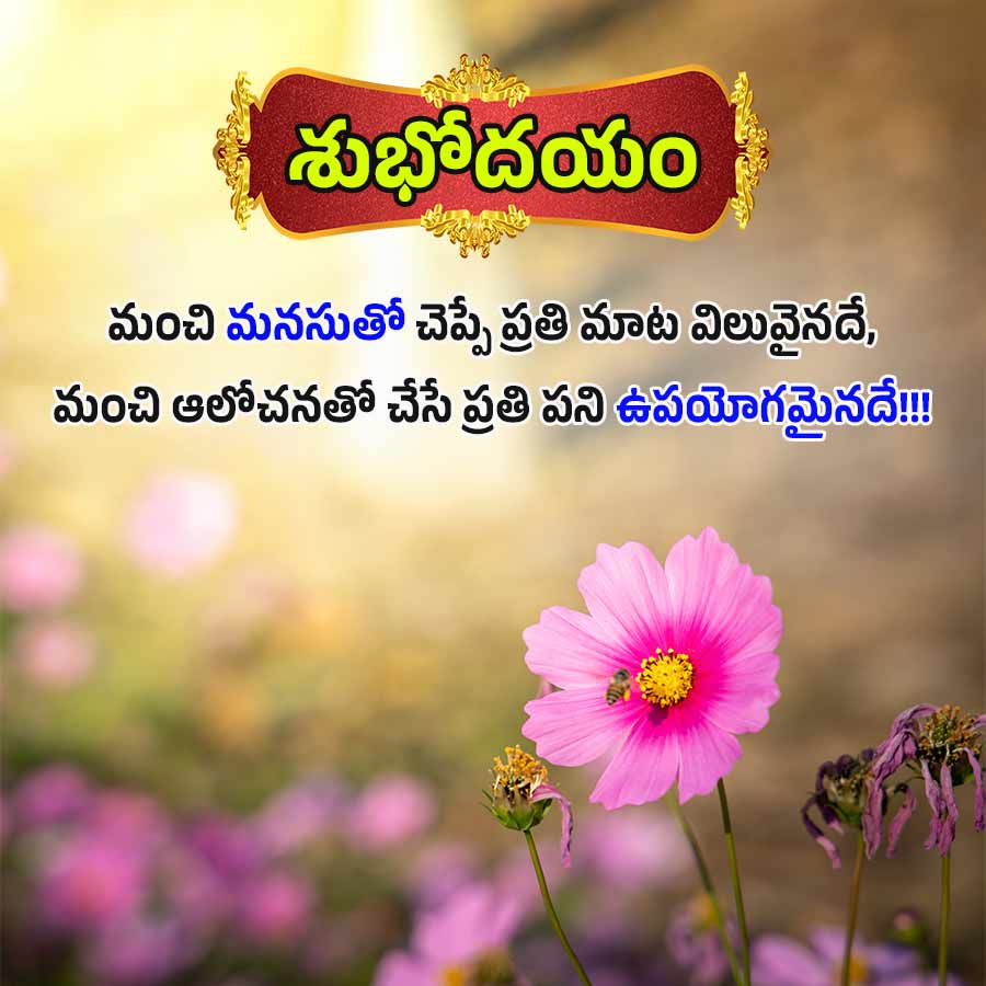 శుభోదయం
మంచి మనసుతో చెప్పే ప్రతి మాట విలువైనదే,
మంచి ఆలోచనతో చేసే ప్రతి పని ఉపయోగమైనదే!!!