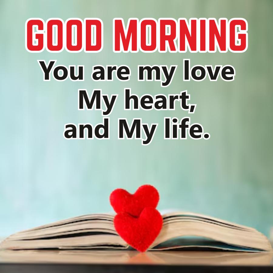 GOOD MORNING
You are my love
My heart,
and My life.