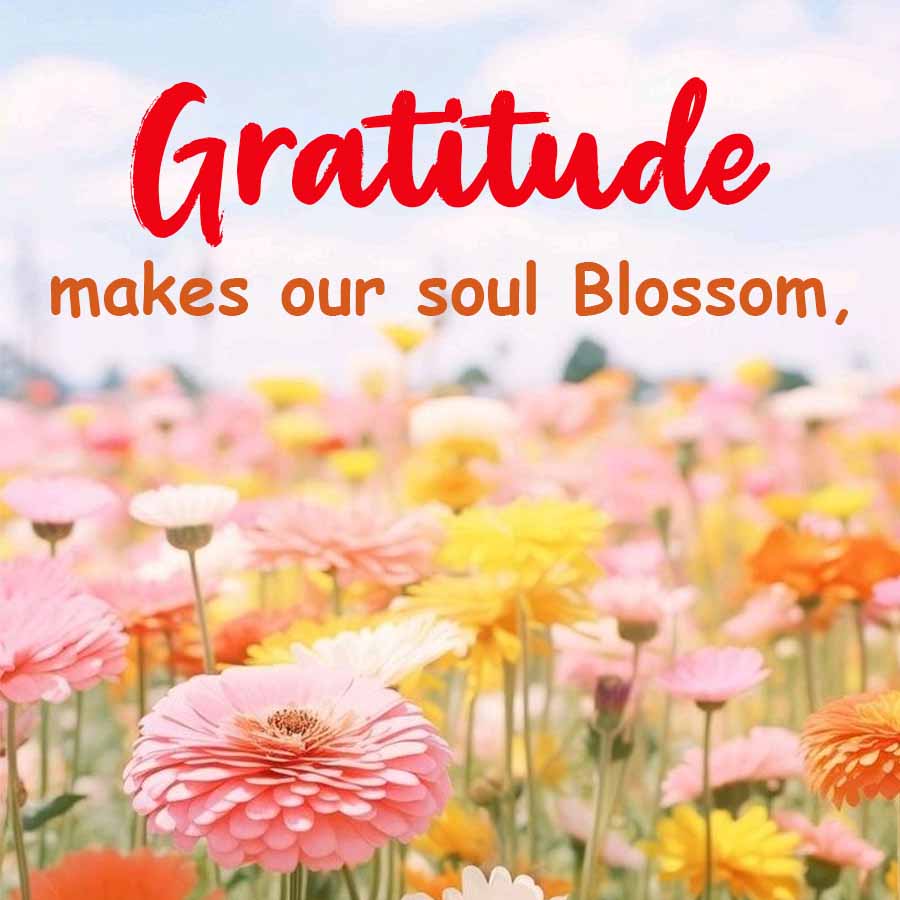 Gratitude
makes our soul Blossom,