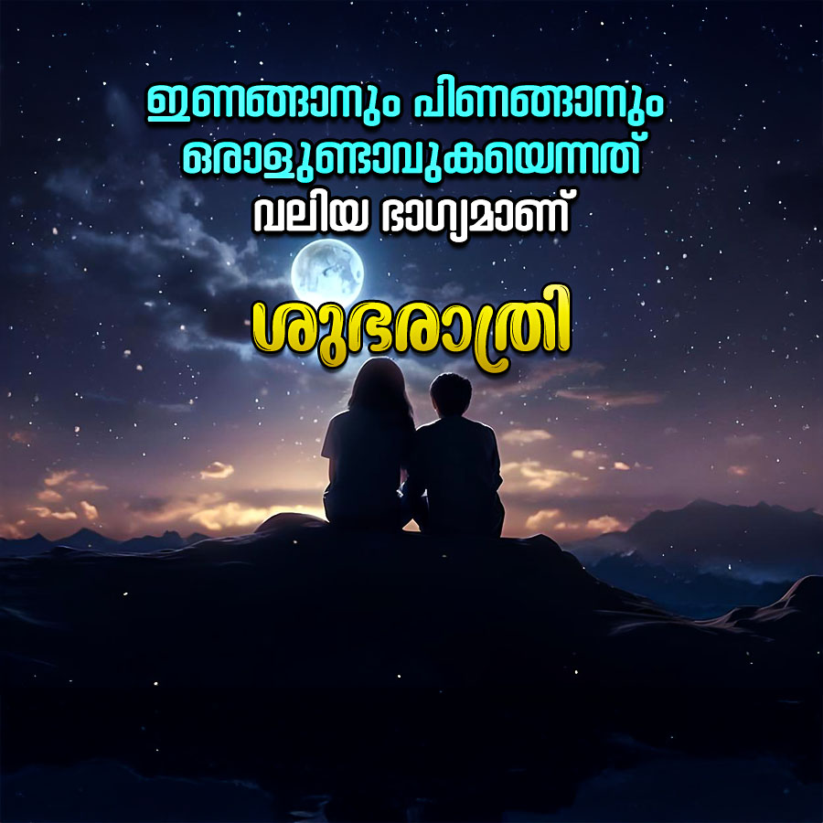 ഇണങ്ങാനും പിണങ്ങാനും
ഒരാളുണ്ടാവുകയെന്നത്
വലിയ ഭാഗ്യമാണ്
രാത്രി