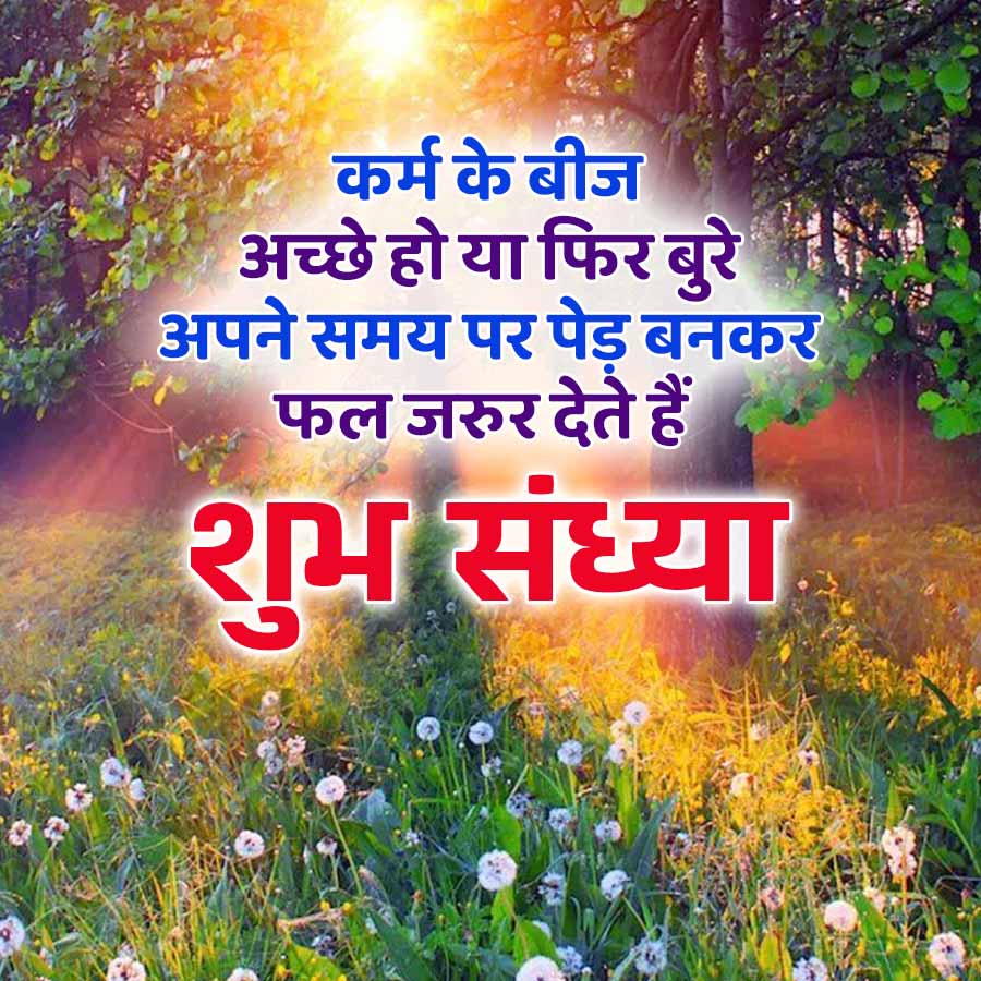 कर्म के बीज
अच्छे हो या फिर बुरे
अपने समय पर पेड़ बनकर
फल जरुर देते हैं
शुभ संध्या