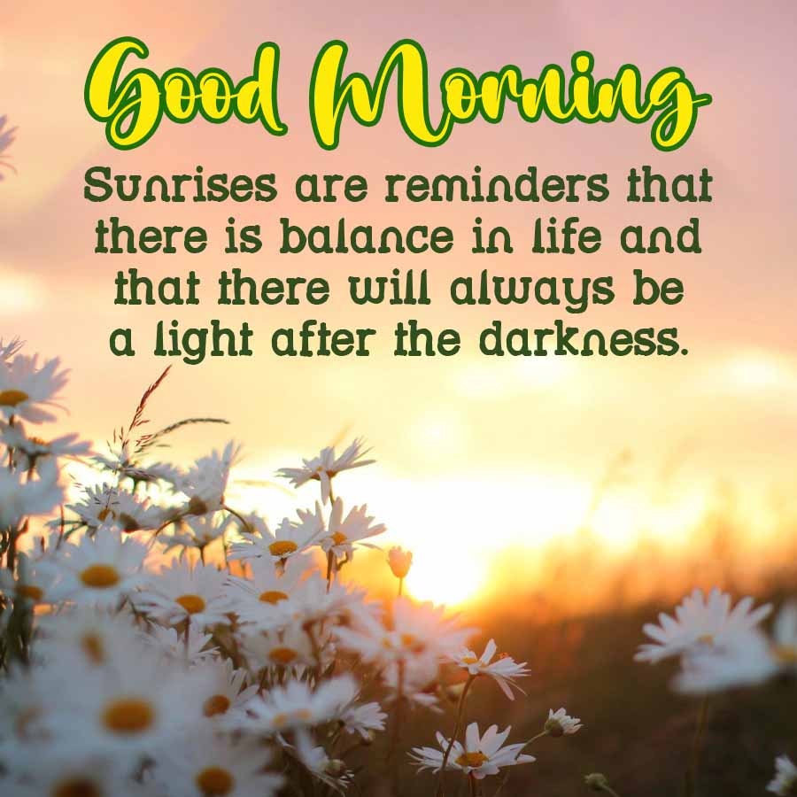 Good Morning
Sunrises are reminders that
there is balance in life and
that there will always be
a light after the darkness.