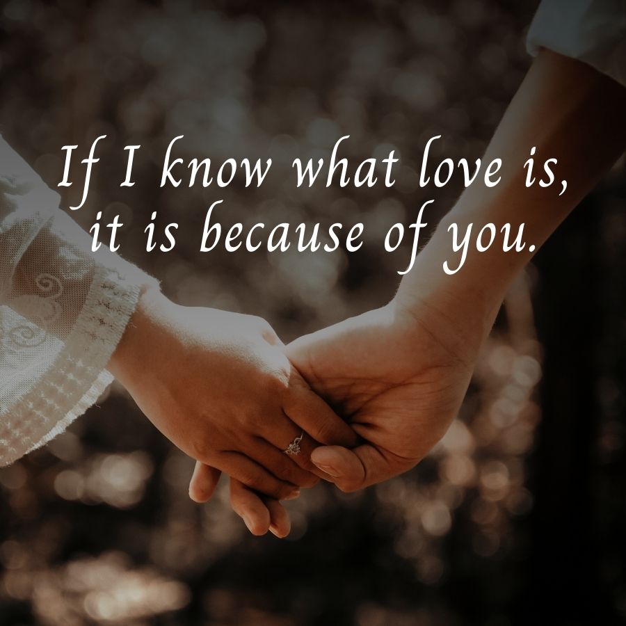 If I know what love is,
it is because of you.
