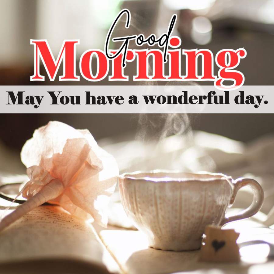 Morning
May You have a wonderful day.