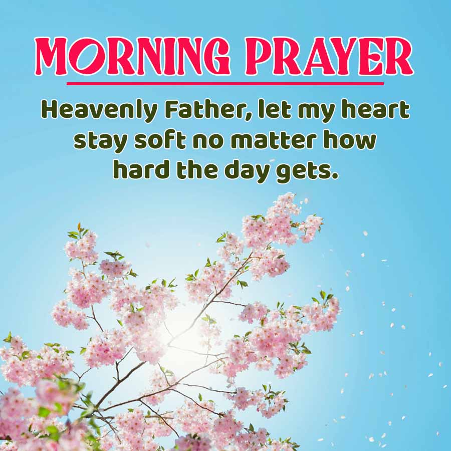 MORNING PRAYER
Heavenly Father, let my heart
stay soft no matter how
hard the day gets.